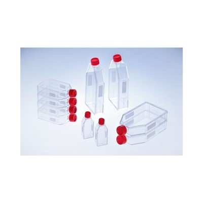 Flasks, Cell Culture,T-25, 50 mL, cs/200