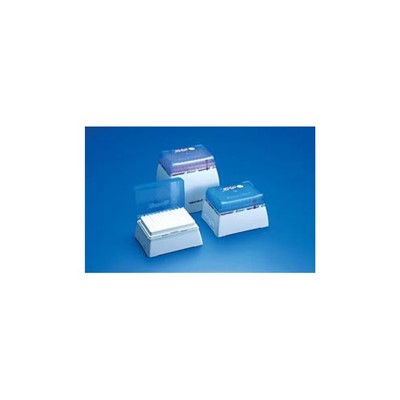 50 to 1000µL Pipet Tip, 2 bags of 500