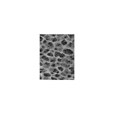 Nylaflo® Membrane Filter, 0.2 µm, 25mm